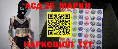 шишки Новоалександровск